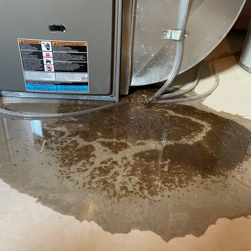 Appliance Leak Cleanup in Dubois County, IN